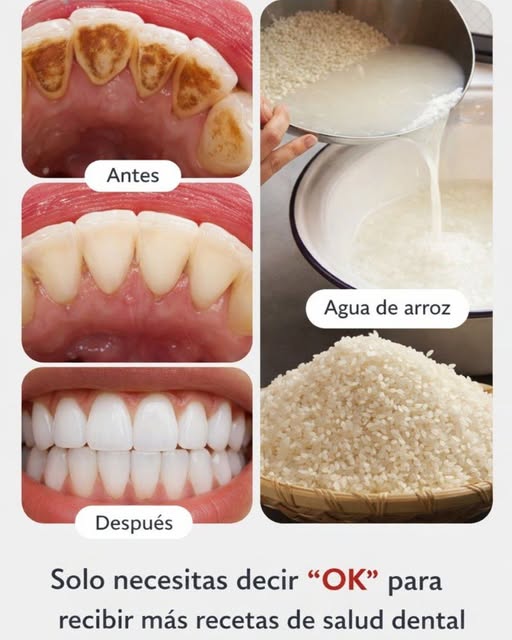 627103874 2720212805006869 6187903251014206604 n