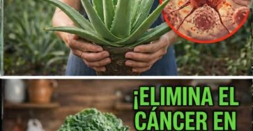 627153001 919380527730329 4901077500597008586 n