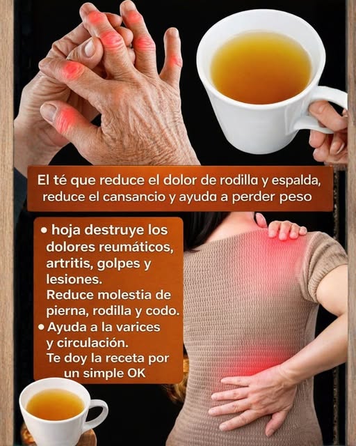 628431609 2723090184719131 7975468510771435359 n