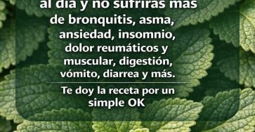 628895149 122100934197273215 8069475651900694228 n