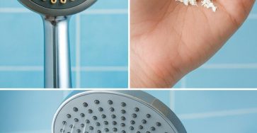 631038027 1366008572235641 2942694477408488587 n