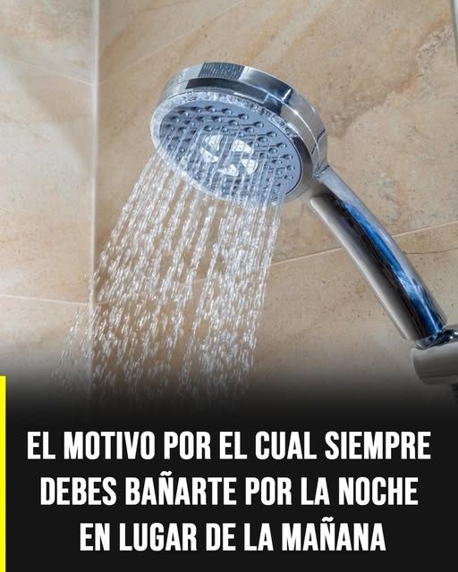 631458879 1343545591149964 1049155834721801393 n