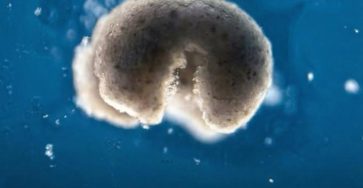 632815960 890200303865648 4582181521677556837 n