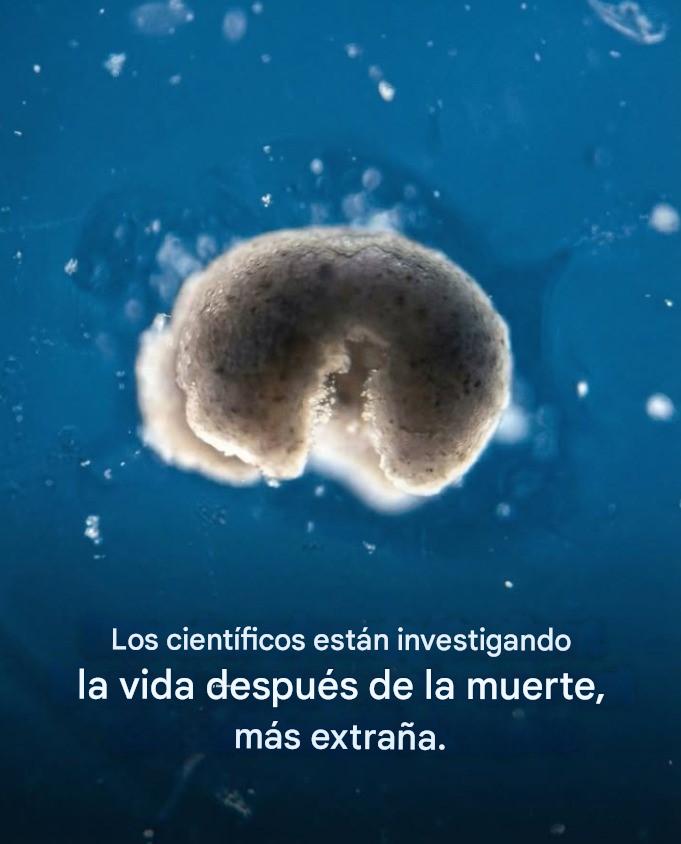 632815960 890200303865648 4582181521677556837 n