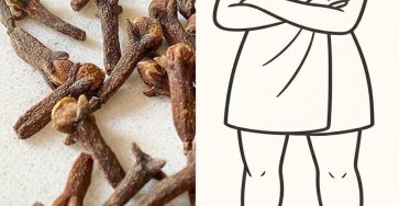 633219832 908394251825754 7156583506642705045 n