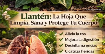 638860197 1498496951840966 7623905446991874225 n