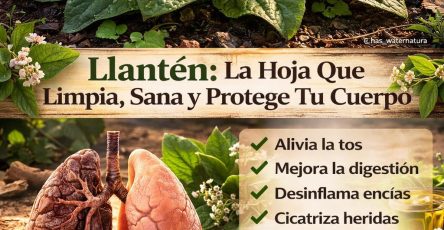 638860197 1498496951840966 7623905446991874225 n