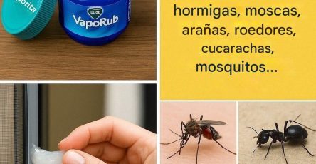 639531920 122101871019273215 7125267242019784136 n