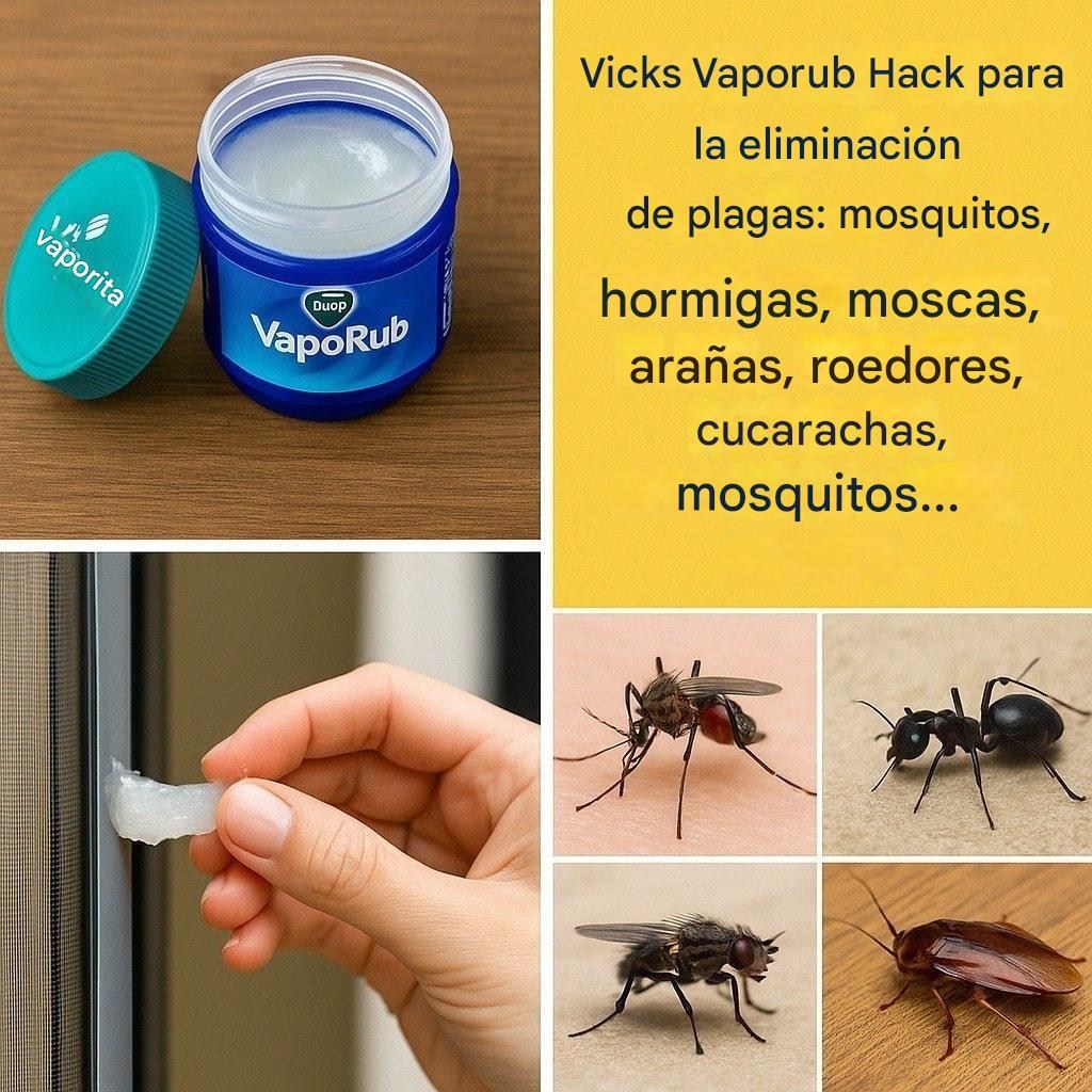 639531920 122101871019273215 7125267242019784136 n