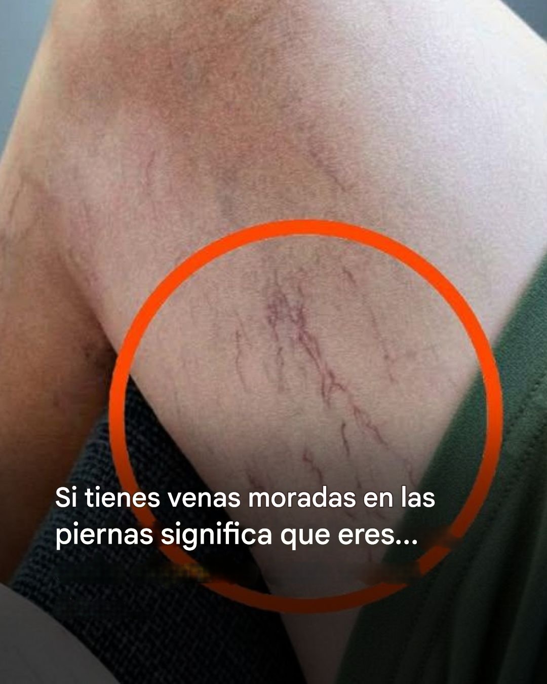 640318201 936298188922114 4510183713050719662 n