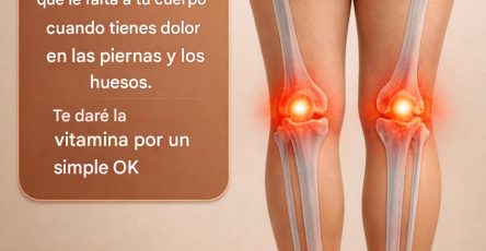 641422032 2113581579478432 1216532729190255690 n