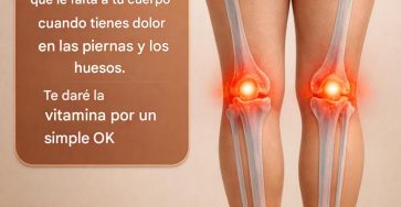 641422032 2113581579478432 1216532729190255690 n