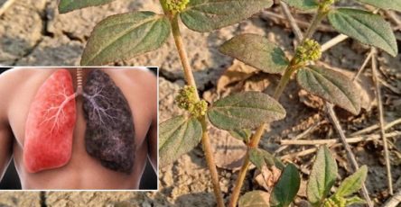 641667921 122216719964270296 1562703462624473339 n