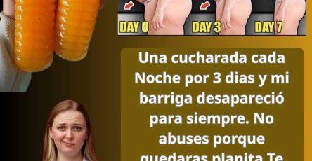 644816281 1466747898224276 363380581760852384 n