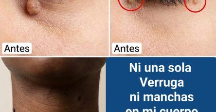 645269696 122295675596202596 4982666485018327598 n