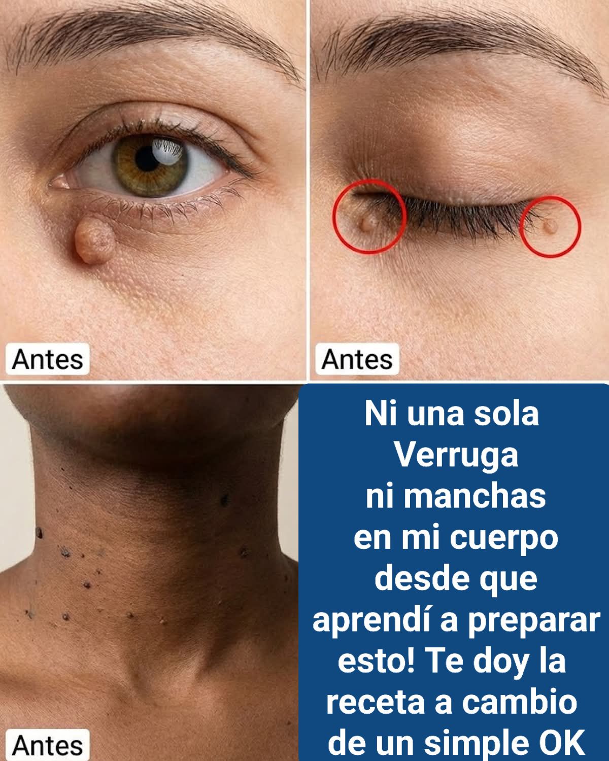 645269696 122295675596202596 4982666485018327598 n