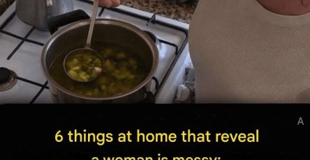 645321058 2740552472967155 7256201436045868306 n