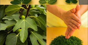 645453046 1508688180821843 5948895344394448271 n