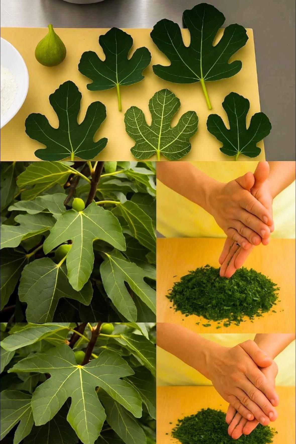 645453046 1508688180821843 5948895344394448271 n