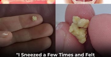 645493806 2305861243245270 6439619178214548322 n