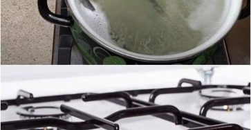 645504209 910136118398831 959864683136648317 n