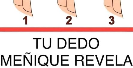 645562331 1449045076881300 7878070020357051515 n