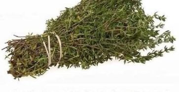 646135404 1455745899249414 4681930466147941323 n