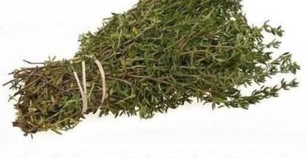 646135404 1455745899249414 4681930466147941323 n