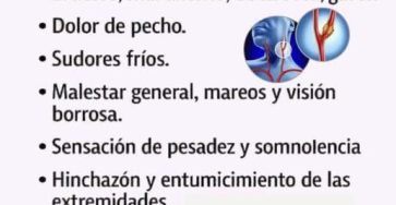 646369926 1359304542907402 1016392051623133858 n