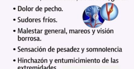 646369926 1359304542907402 1016392051623133858 n