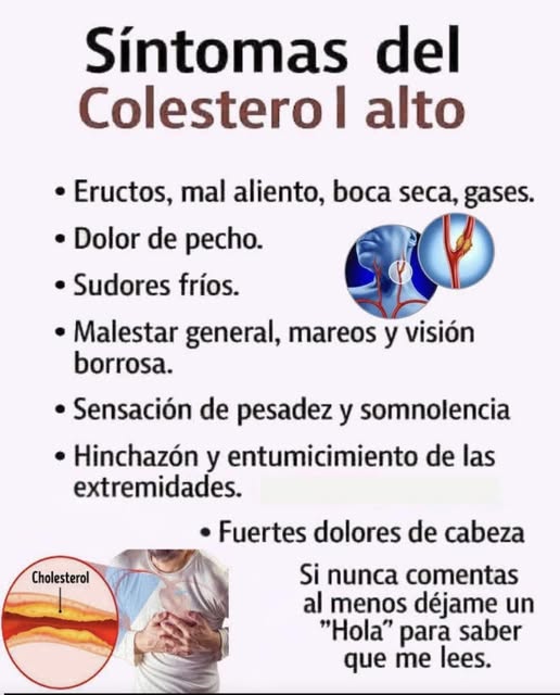 646369926 1359304542907402 1016392051623133858 n