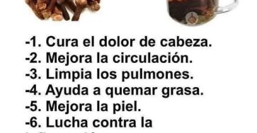 646748917 1437382468434175 7380929777229031778 n