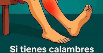 649275382 1282421013992337 1239330313322022744 n