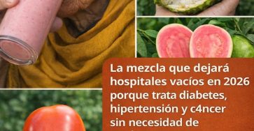 649292536 1664714221358207 5674501486550979766 n