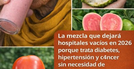 649292536 1664714221358207 5674501486550979766 n