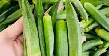 649483362 1490313022487392 7879103693295080299 n