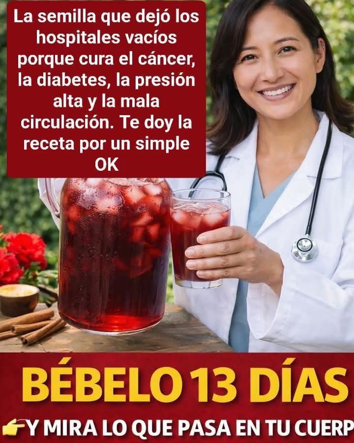 649536715 122224664888095202 7177073756357538676 n