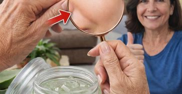 649839500 905463765799975 4253292278829934344 n