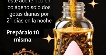 650065276 1285266027041169 4267739068557231757 n 1228x1536