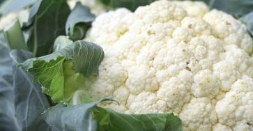 650211700 1444249307747491 1651929802991397190 n