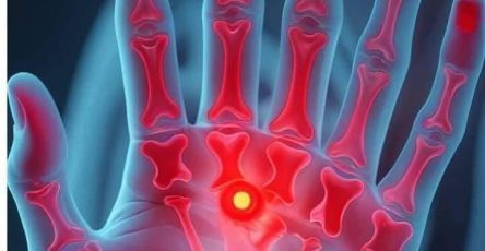 650558652 1284640500437055 6552679341792516392 n