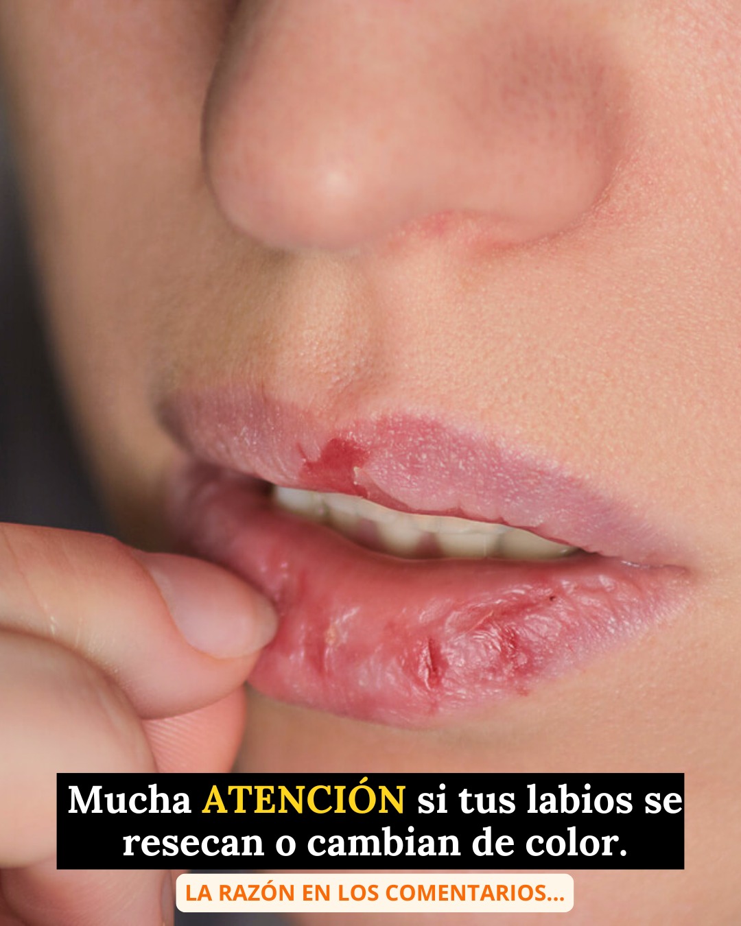 651015428 1477120460664088 2769530599022102049 n