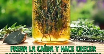 651190282 2412246972554462 4194695939566470781 n