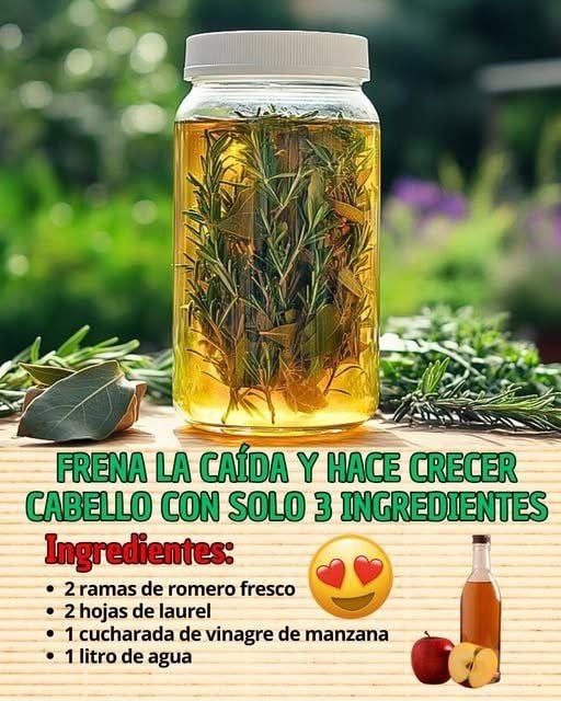 651190282 2412246972554462 4194695939566470781 n