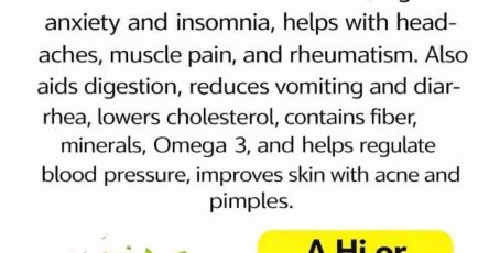 651199810 122117608263209067 8514221167970918708 n