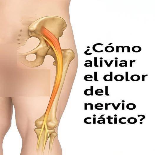 651202524 1285319147035857 5883675779640041322 n