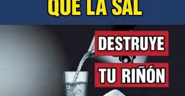 651263340 881799908239260 5652143926810422020 n