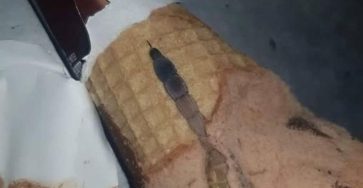 651263348 974228741933235 3386149750922000922 n