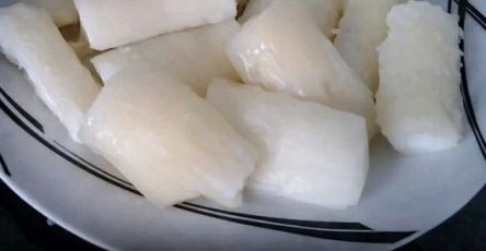 651705934 1557422941993484 710713373400547527 n