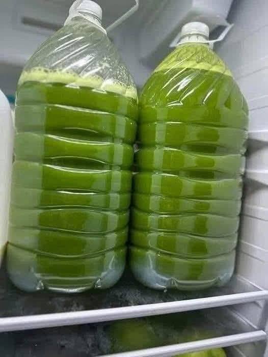 651769405 2041888760069341 7773887795326500599 n